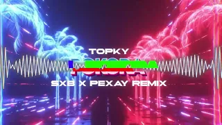 Topky - Pokora (PEXAY x SXB remix) V2