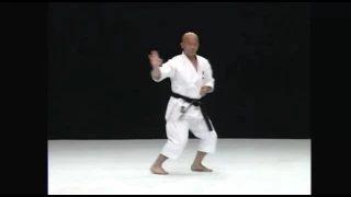 kata Heiku karate shito ryu