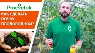 Севооборот, сидераты, оздоровление почвы