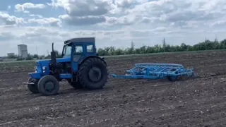 Все буде Україна!Напартачів з культивацією перекультивовуєм Т-40АМ із КПСП-4М #т40ам#т40 22.05.24 р.