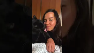 The Panther's Kiss 😘