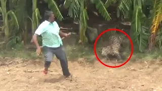 7 Scary Leopard Encounters You Should Avoid Clicking On