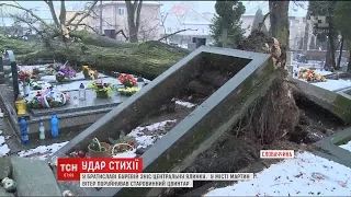 Буревій у Словаччині: на центральній площі сильного вітру не витримала головна ялинка країни