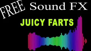 Free Sound Effects - 10 Minutes of JUICY FARTS with AUDIO LEVELS - HD