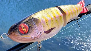 Sauron Trout | One SwimBait to Rule Them All