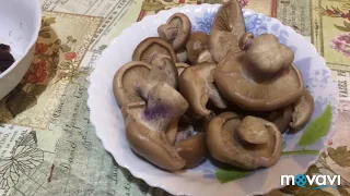 ‼️Первый раз жарю синеножки☝👍 Очень вкусно 😋🤤‼️ Как приготовить синеножки🍄❓