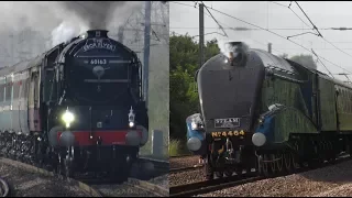 4464 Bittern vs 60163 Tornado 90mph runs comparison