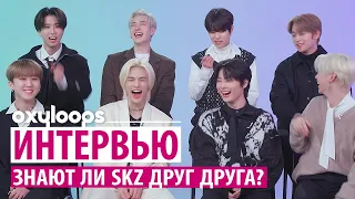 Интервью Stray Kids Seventeen "Besties on besties" [рус.саб]