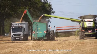 Claas - Fendt - ++ / Getreideernte - Grain Harvest   2020