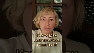 Как создан наш организм, наше тело?