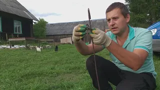 Первые козы в нашей деревне. Крепеж для выгула на пастбище своими руками. Обходимся без хоз. магазин