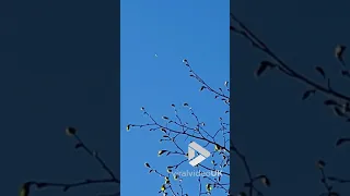 Strange unidentified object spotted in the sky || Viral Video UK