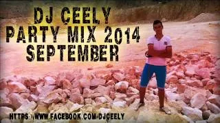 Dj Ceely Party Mix 2014 September