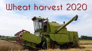 Wheat harvest 2020 with CLAAS Mercator 60 | Żniwa z CLAASą - pszenica 2020