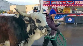 Hats Off to the National Western Stockshow 2024