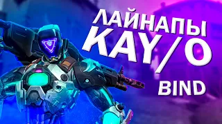 ОБЯЗАТЕЛЬНЫЕ ЛАЙНАПЫ! РАСКИДКИ ДЛЯ KAY/O (КАЙО) НА КАРТЕ BIND