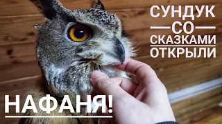 Nafanya's eagle owl is the sugar of my heart. @Sergey Yartsev talks about bridges vs temples