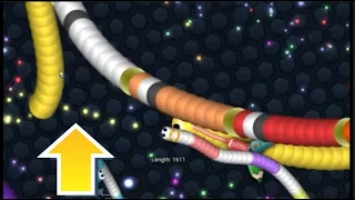 [スリザリオ] 4k slither.io 中央でのプレイング