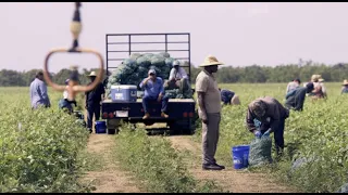 Reducing Heat-Related Illness