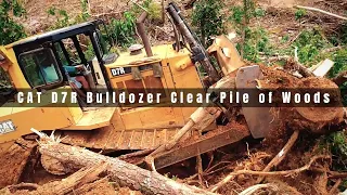 Dozer Working in the woods