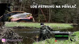 Lov Pstruhů na pstruhové řece | Lov na přívlač |