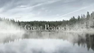 Great Peacock - Take Me To The Mountain (Official Lyric Video)