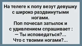 К Попу На Телеге Привезли Девицу! Сборник Свежих Анекдотов! Юмор!