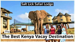 Experience Salt Lick Safari Lodge & Taita Hills  Resort  |The Best Kenya Vacation Destination