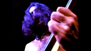 FRANK ZAPPA - Live at Palladium - HALLOWEEN (1977)