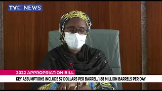 [WATCH] FG To Borrow More To Finance 2022 Appropriation Bill