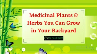 Useful Medicinal Plants & Herbs You Can Grow in Your Backyard