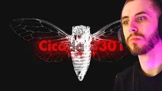 Cicada 3301: An Internet Mystery - LEMMINO Reaction