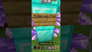 Diamond Enderman Titan. No Mods!!!