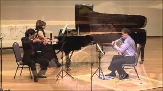 Brahms Trio for Violin, Horn & Piano, Op.40, 1st Movement: Kaohsiung Camerata