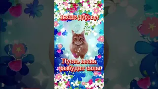 Весенний приветик!