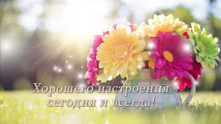 Хорошего настроения!/ День добрый!/Летний привет!