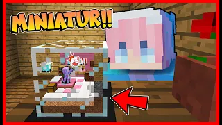 MOMON MASUK KEDALAM MINIATUR KACA DI MINECRAFT !! Feat @sapipurba Minecraft