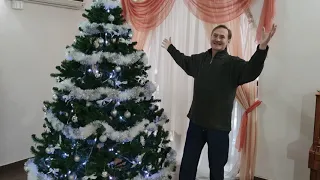 Новогоднее поздравление от Владимира Владимировича Медведева