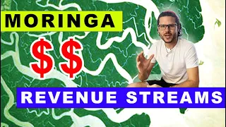 Moringa Revenue Streams | Selling Products Made from Moringa Trees