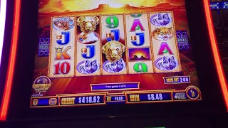 Wonder 4 Tall Fortunes $7.20 Bet Buffalo Bonus