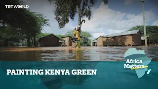 Africa Matters: Artist paints Kenya green