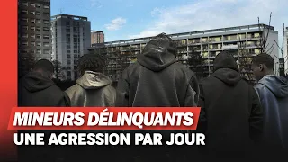 À Bordeaux, les mineurs délinquants font la loi