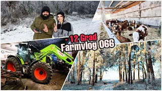 -12 Grad | Arion will nicht mehr | Vorbereitung Blutproben | unser Weihnachtsbaum - Farmvlog 066