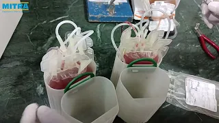 Triple SAGM Blood Bag Packing and Procedure | Blood Bags System | Mitra Industries