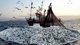 Unbelievable Big Net Fishing Videos - How Fisherman Hundreds Ton Fishes caught on the boat