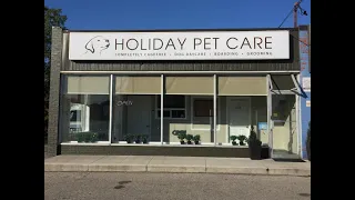 Tour our Cagefree Boarding and Dog Daycare Centre