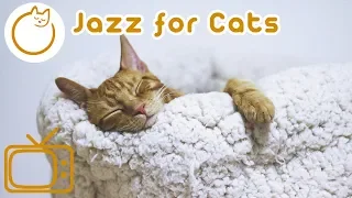 Jazz for Cats - Relaxing Rhythms for Cats and Kittens!