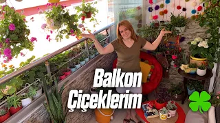 Balkonumdaki Çiçeklerimi Gösteriyorum 🌱 | Çiçeklerimi Nereye Koyuyorum? (Püf Noktalar)