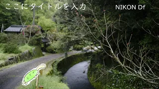 NIKON Df でなんともいえない滝を見に行くというか落ち着きに行くというか スチルとうろつき #36