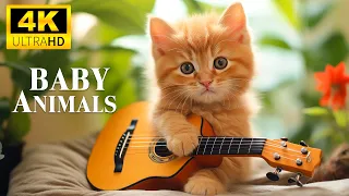 Beautiful Baby Animals Of The Earth With Relaxing Music (Colorfully Dynamic)